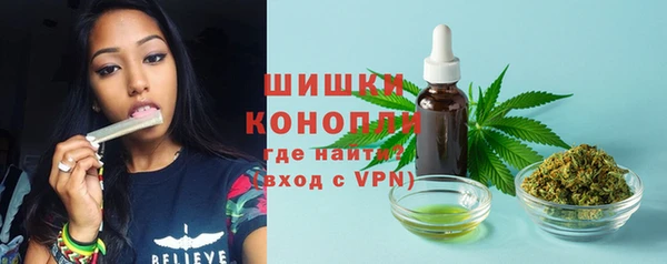 ECSTASY Дмитровск