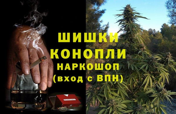 прущая мука Дмитриев