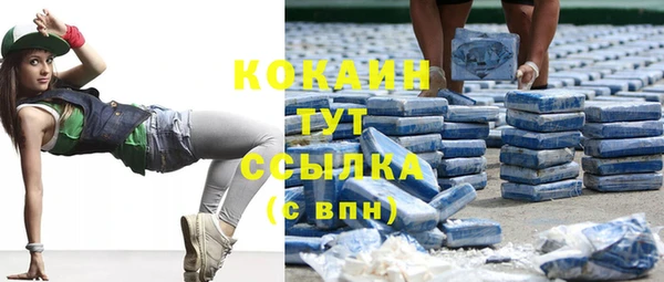 прущая мука Дмитриев